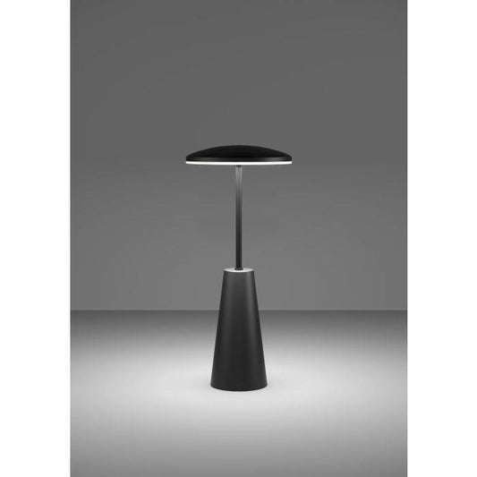Stalinis šviestuvas Eglo 900925, LED, 2.8W