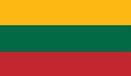 Magnetic sticker with the Lithuanian flag