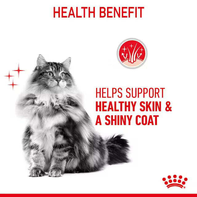 ROYAL CANIN Hair & Skin Care Loaf - Drėgnas Pašaras Katėms 12x85g