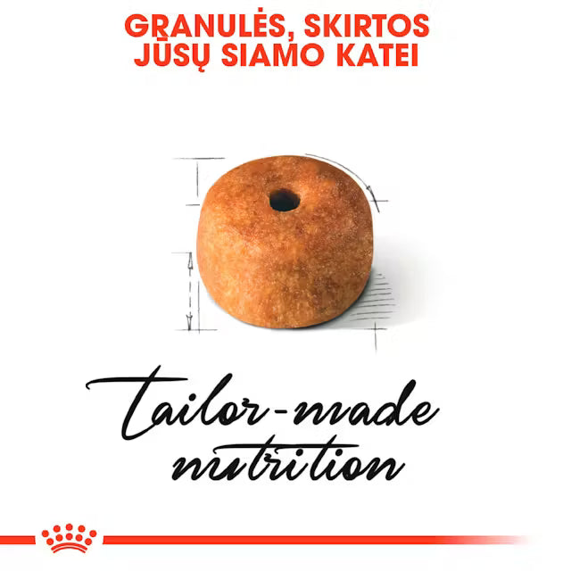 Sucha karma dla dorosłych kotów syjamskich