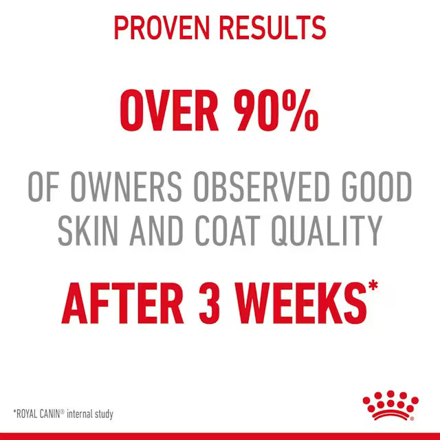 ROYAL CANIN Hair & Skin Care Jelly - Wet Food for Adult Cats 12x85g