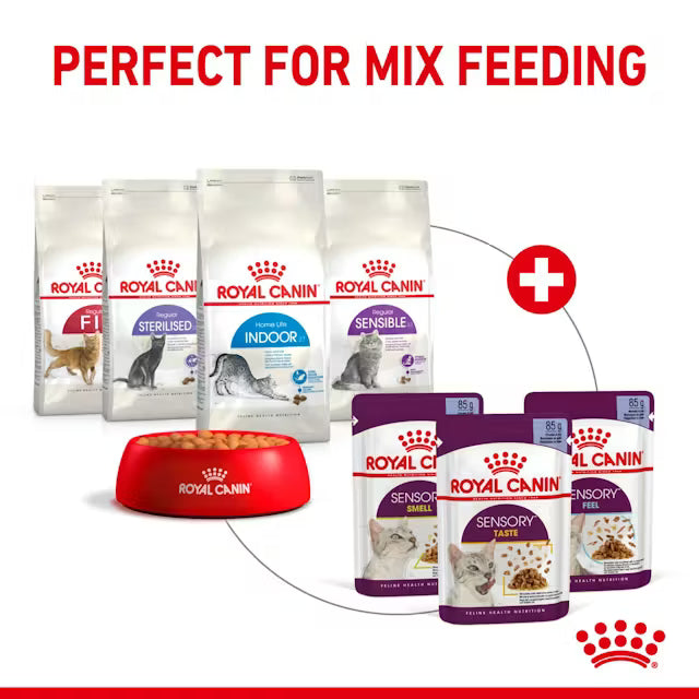 ROYAL CANIN Sensory Feel Morsels In Jelly - Wet Food For Adult Cats 12x85g