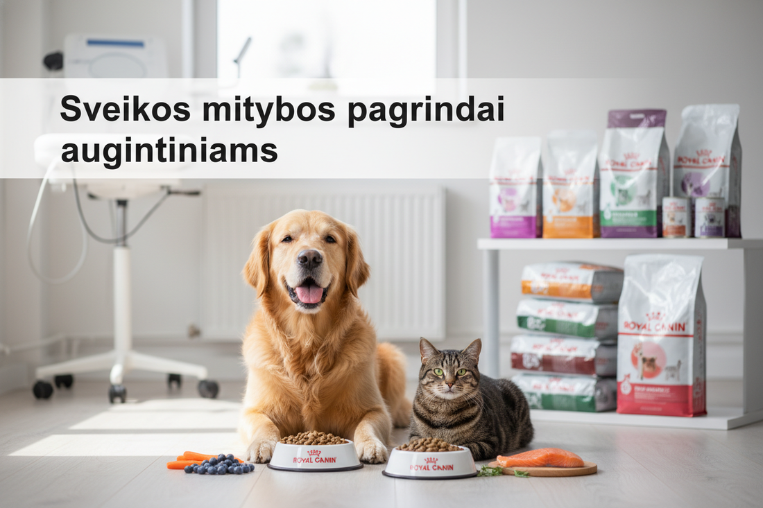 Šuns ir katės visavertės mitybos pagrindai