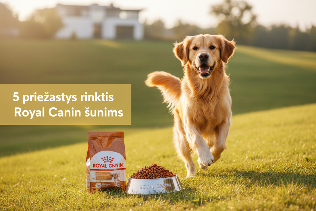 Royal Canin šunų maistas pagal amžių, dydį ir poreikius