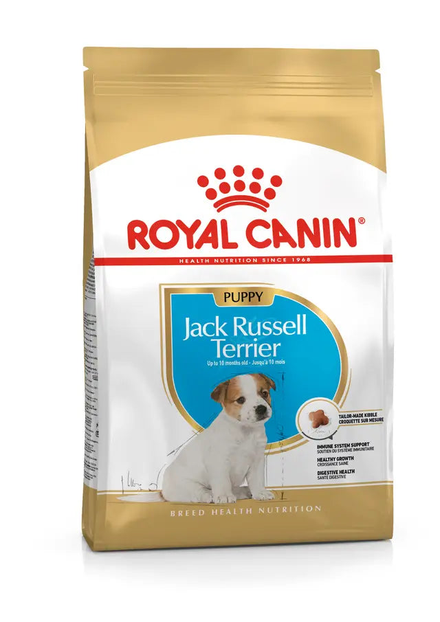 Royal Canin Jack Russell Terrier Puppy šunų maistas 1,5 kg - specialiai subalansuotas maistas džeko raselo terjerų šuniukams