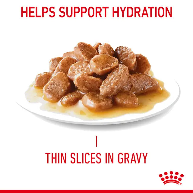 ROYAL CANIN Light Weight Care Gravy - Drėgnas Pašaras Suaugusioms Katėms 12x85g