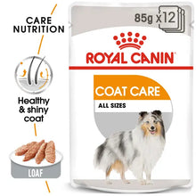 Royal Canin Coat Care Loaf