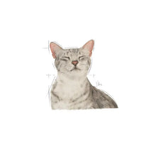ROYAL CANIN SENSORY™ FEEL Morsels in Gravy - Wet Food for Adult Cats 12x85g