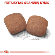 Giant Adult sausas pašaras šuniui