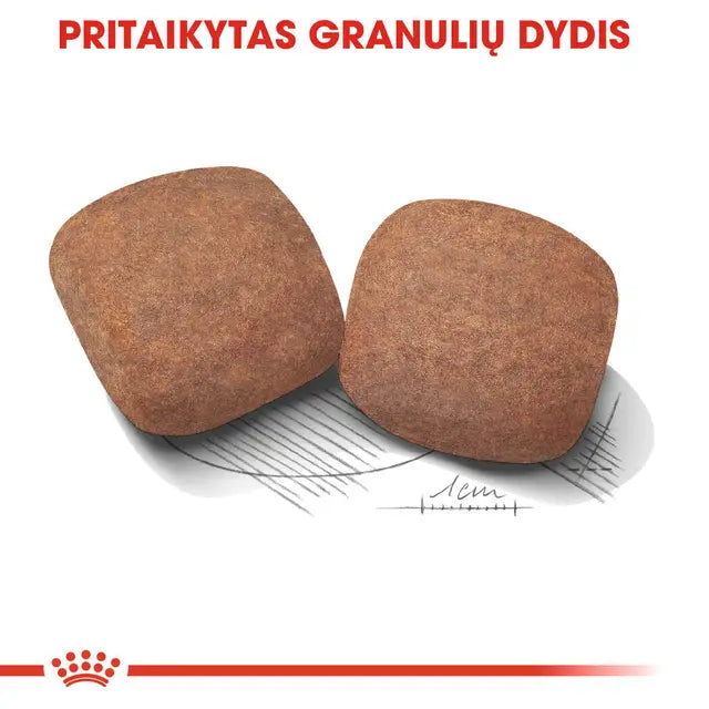 Giant Adult sausas pašaras šuniui