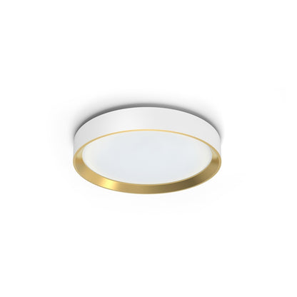 Šviestuvas lubų Philips 929004116001, 24 W, LED, 2700 °K