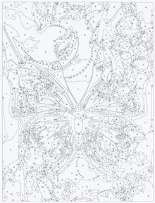 Tapymas pagal skaičius Butterfly 80909