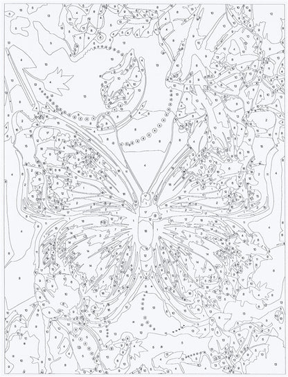 Tapymas pagal skaičius Butterfly 80909