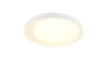 Lampa sufitowa Reality, LED, 24W, 2700-6500K, 2500lm, Ø45