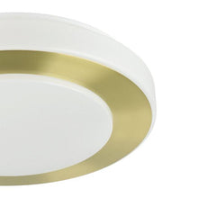 Ceiling light Eglo CARPI, 10.8 W, LED, 900369