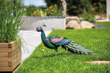 Garden Decoration "Peacock", 94 cm x 28 cm x 52 cm