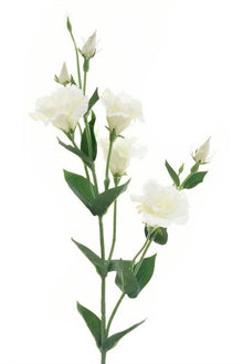 Dirbtinė gėlė, eustoma, balta, 85 cm