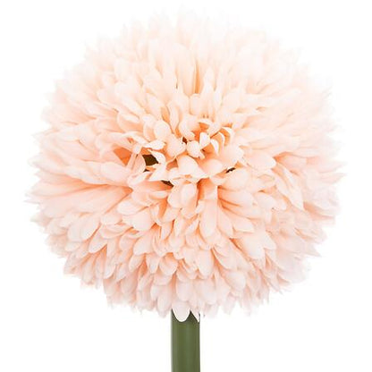 Dirbtinė šakelė Atmosphera Pompom, 60 cm