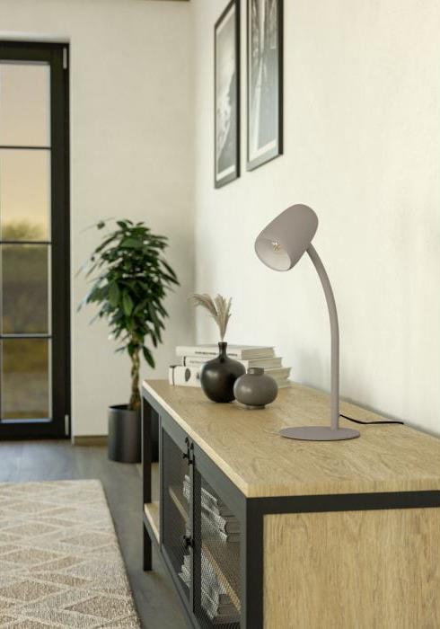 Desk lamp Eglo Carlo 901829, E14, 18W