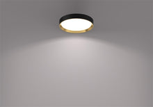 Lampa sufitowa Philips 929004115901, 24 W, LED, 4000 °K