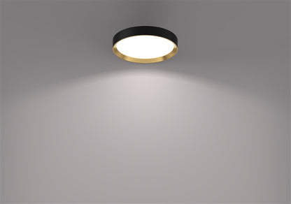 Šviestuvas lubų Philips 929004115901, 24 W, LED, 4000 °K