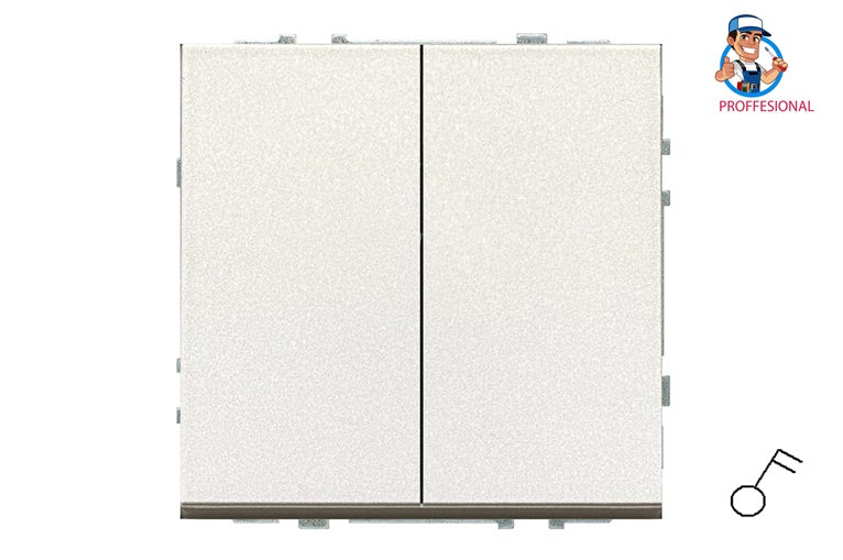 LIREGUS MODERN switch, 2-gang, champagne color