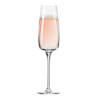 Champagne glass set Modern, glass, 0.250 l, 4 pcs.