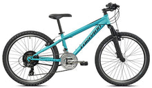 Mountain bike Torpado, 24", 21 gears
