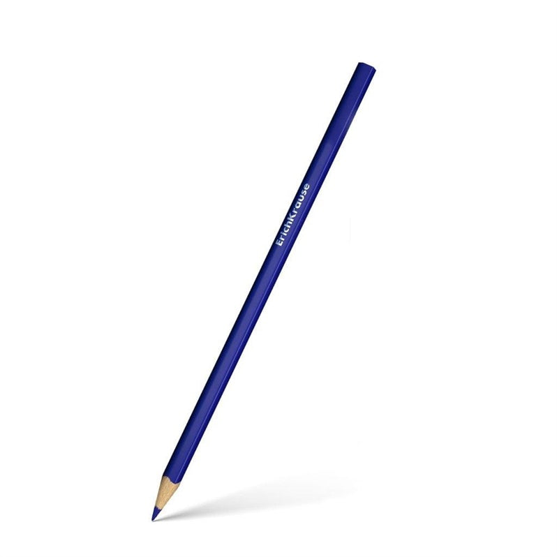 Spalv.pieštukai Erichkrause Color Friends triangular 24 vnt.
