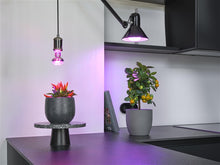 Lemp LED augalams 1300K E27 7.5W 140lm
