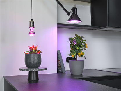 Lemp LED augalams 1300K E27 7.5W 140lm