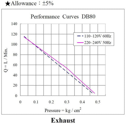Orapūtė Airmac DB80, 89 W