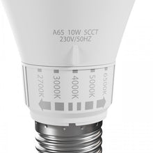 Spectrum LED Bulb, A65, E27, 10W, 1100LM, 2700-6500K, 5CCT