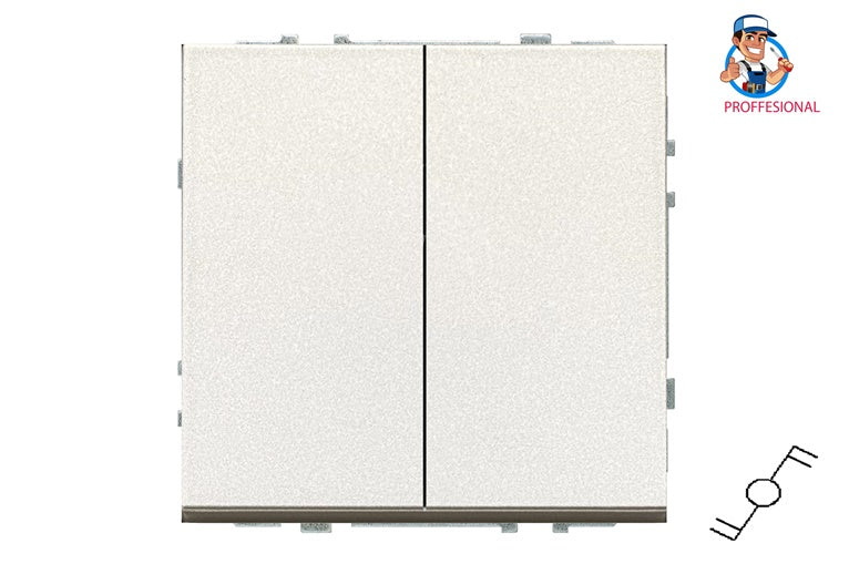 Switch LIREGUS MODERN, 2-gang, champagne