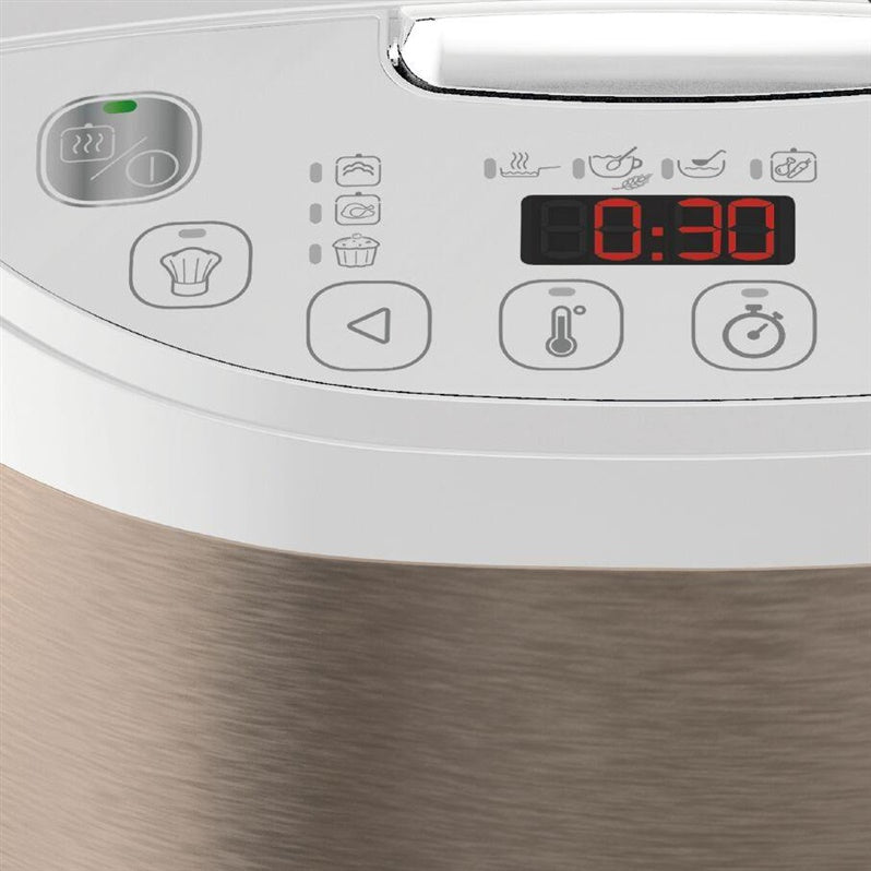 Wielofunkcyjny multicooker Tefal RK6221E1