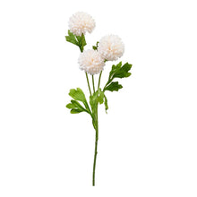ŠAKA DIRBTINĖ PL4100640 75CM 4 DIZAINAI