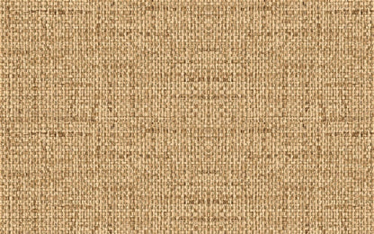 Lipnioji plėvelė AD JUTE, 15 m x 450 mm 55758