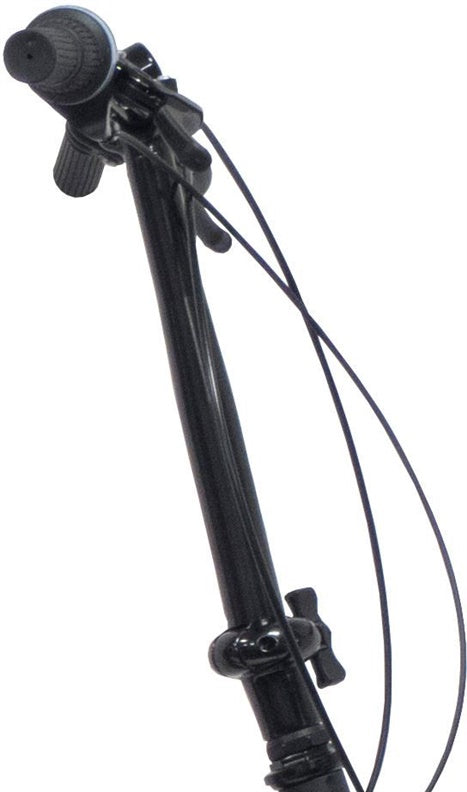 Dviratis sulankstomas Bottari Modena, 20 ", 20" rėmas
