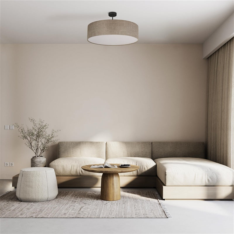 Šviestuvas lubų TK Lighting Rondo 6248, 60 W, E27
