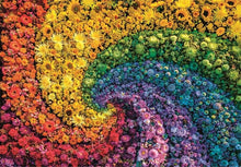 Dėlionė Compact Colorboom Collection 39779, 50x70cm 1000 vnt