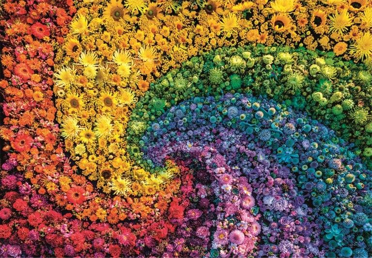 Dėlionė Compact Colorboom Collection 39779, 50x70cm 1000 vnt