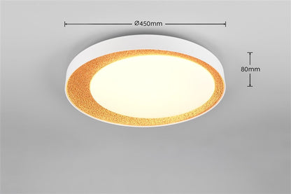 Šviestuvas plafonas Reality,LED, 24W,2700-6500K, 2500lm, Ø45
