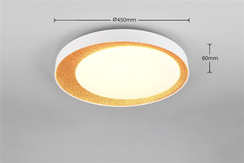 Ceiling light Reality, LED, 24W, 2700-6500K, 2500lm, Ø45