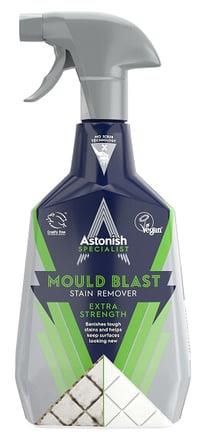 VALIK PELĖSIŲ DĖMIŲ MOULD BLAST 750ML