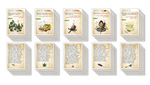 Board Game Case Closed 3