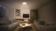 Ceiling lamp Ledvance Orbis Paris 4058075829022, E27