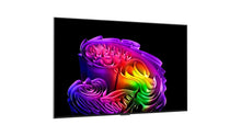 TELEVIZORIUS OLED55G61LW LG