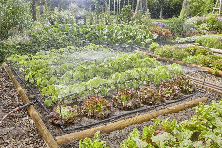 Laistymo sistema Gardena Micro Drip System 60m2