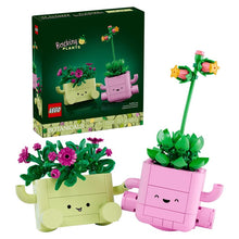 KONSTR ROCKING PLANTS