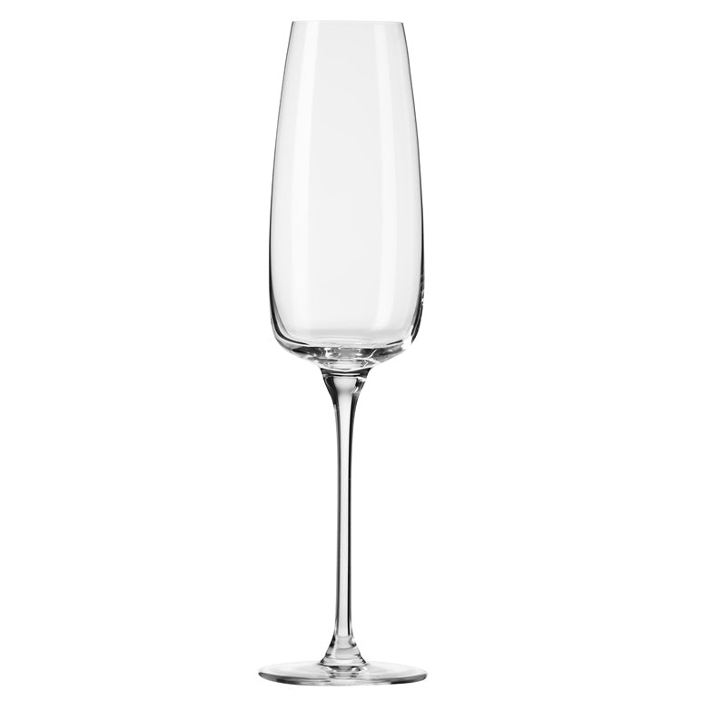 Champagne glass set Modern, glass, 0.250 l, 4 pcs.